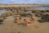 enfants plage proche de Brétignolles sur Mer