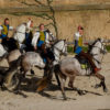 chevaux puy du fou