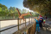 zoo sables olonne