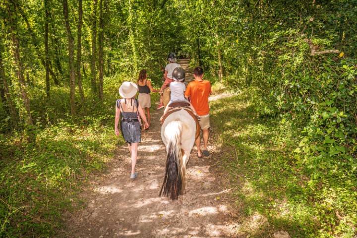 balade poney en vendée