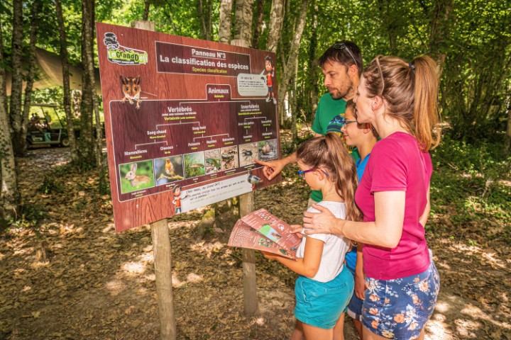 découvrez la faune et la flore en vendée