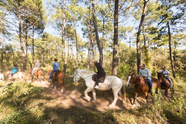 Photo d'une ballade à cheval dans la forêt Domaniale d'Olonne